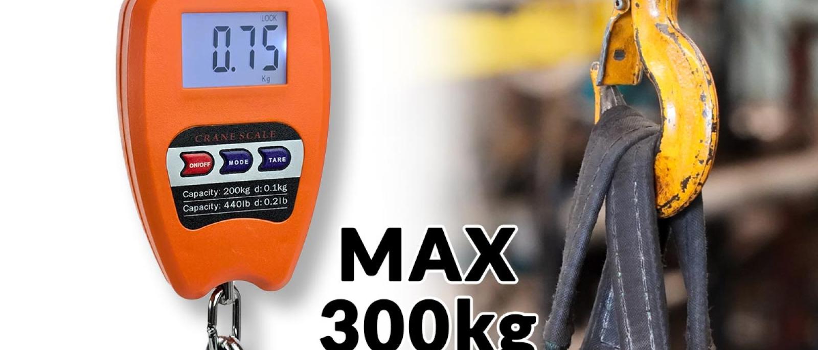 Kranska Vaga 300 kg G347 Front 1