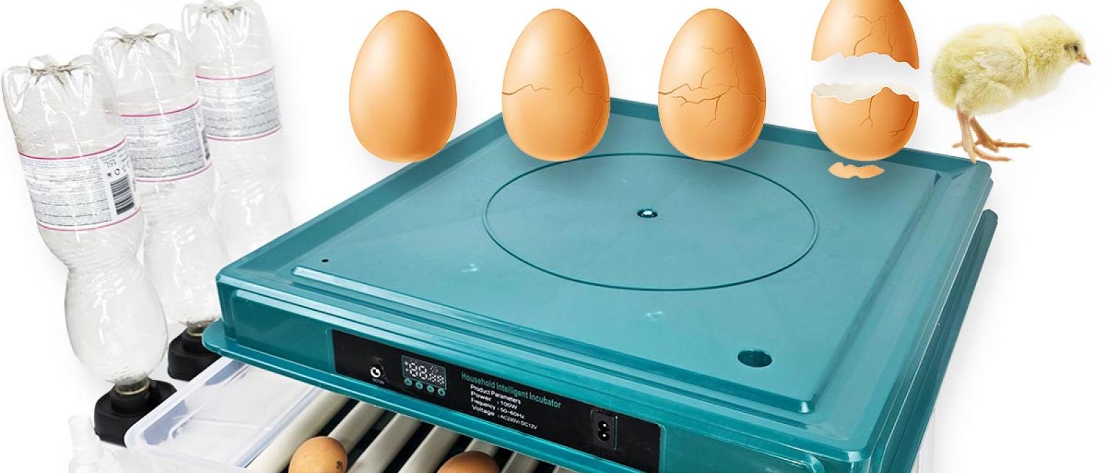 Inkubator za 56 jaja sa kontrolom vlage i temperature NA306 Front 1