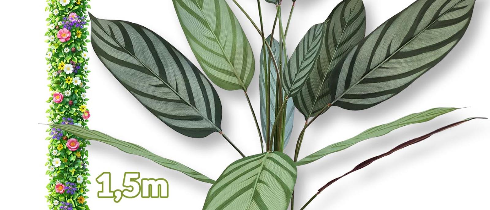 Umjetni cvijet - Calathea 1,5m G705 Front 1