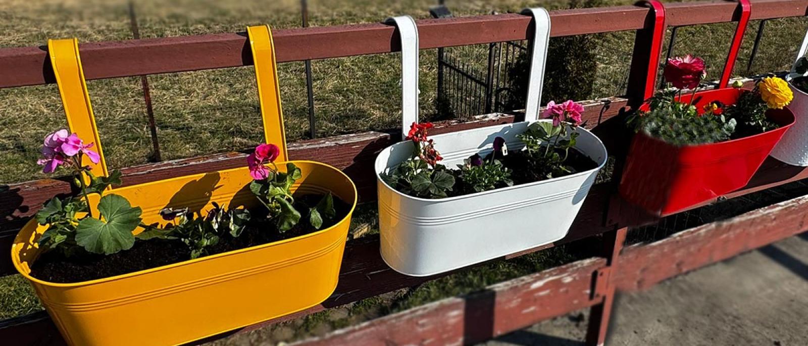 Vrtne metalne posude za cvijeće - 3 velike šarene G721 Front 1