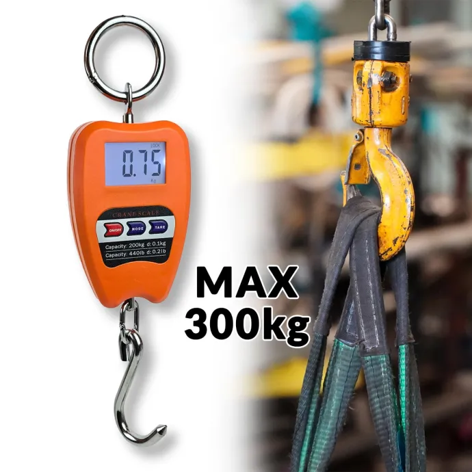 Kranska Vaga 300 kg G347