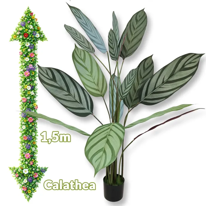 Umjetni cvijet - Calathea 1,5m G705