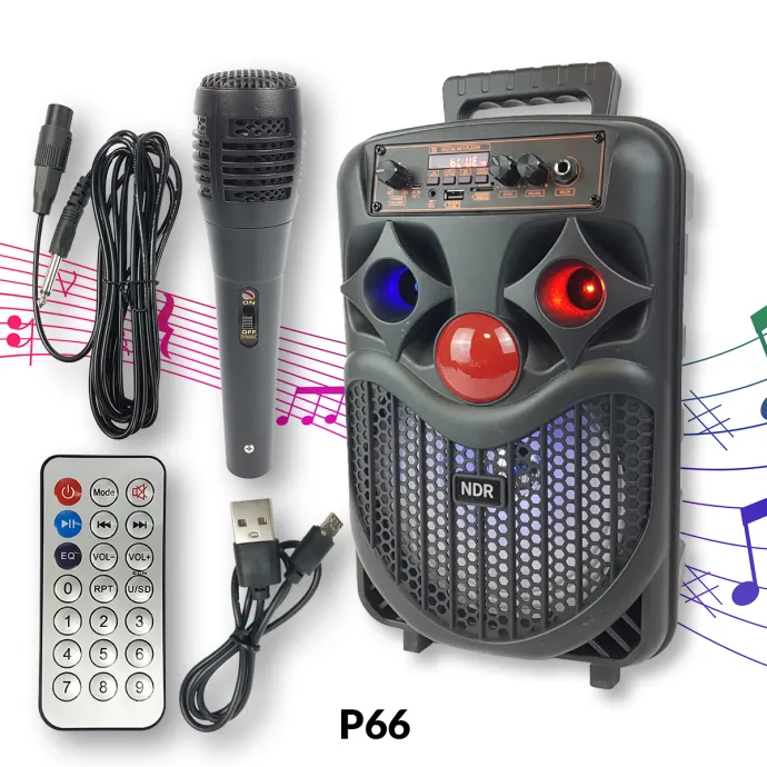 Bluetooth karaoke zvučnik P66