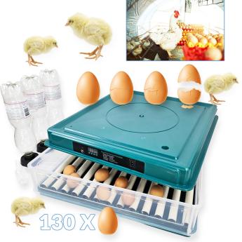 Inkubator za 56 jaja sa kontrolom vlage i temperature NA306 Front 1